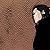 頭 第101話 (Toyou's Dream)