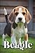 Beagle: How to train your d...