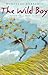 The Wild Boy by Mordicai Gerstein (1998-09-15)