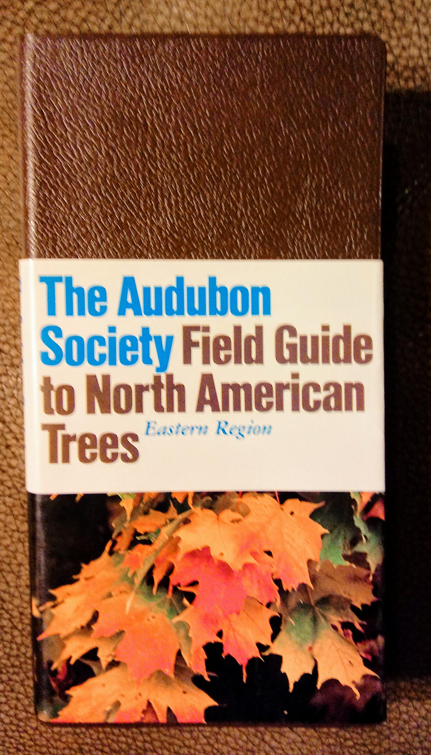 Audubon Society Field Guide to North American Trees: Eastern Region (Paperback)
