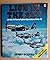 Lion in the Sky: US 8th Air Force Fighter Operations, 1942-45