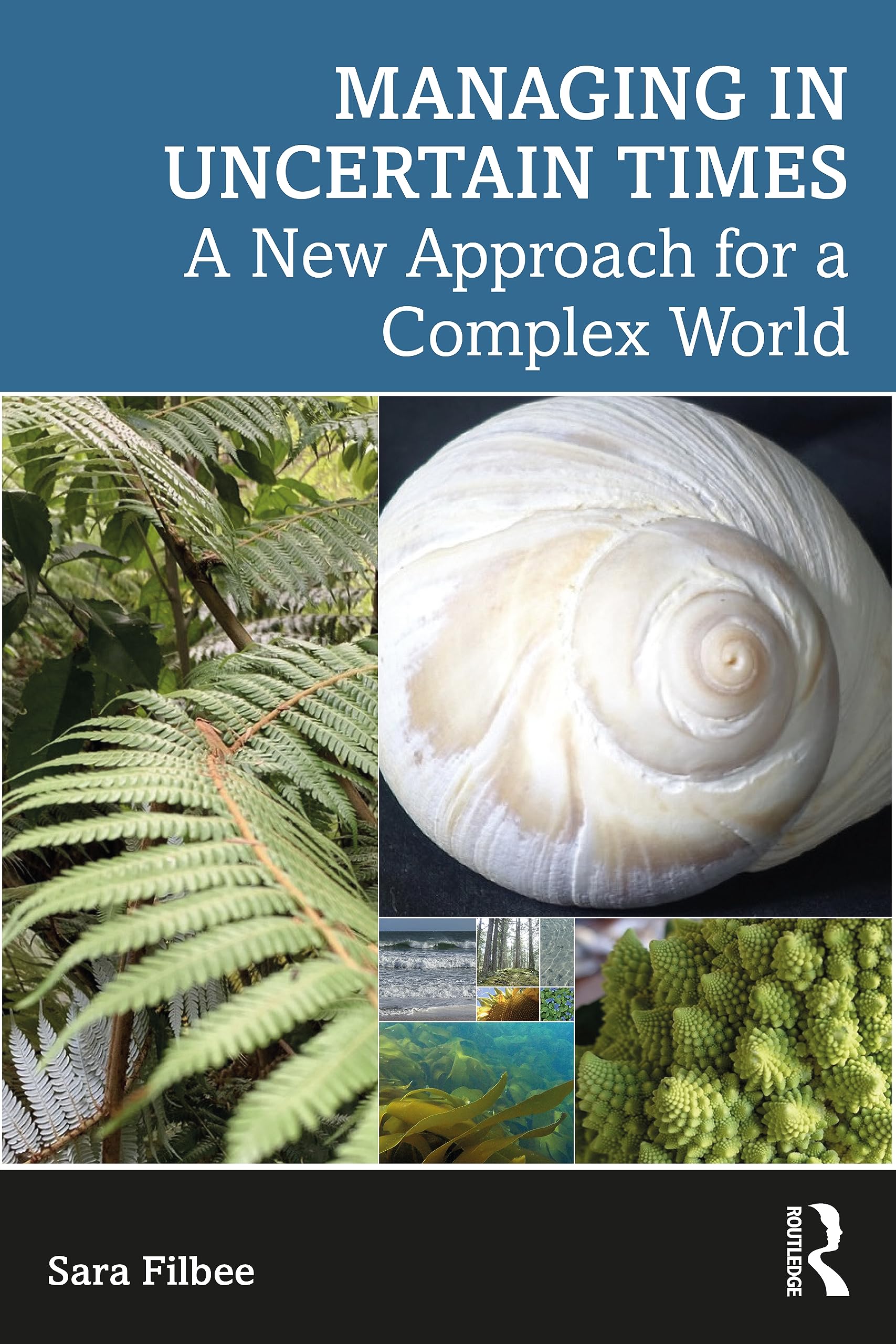 Managing in Complexity (Paperback)