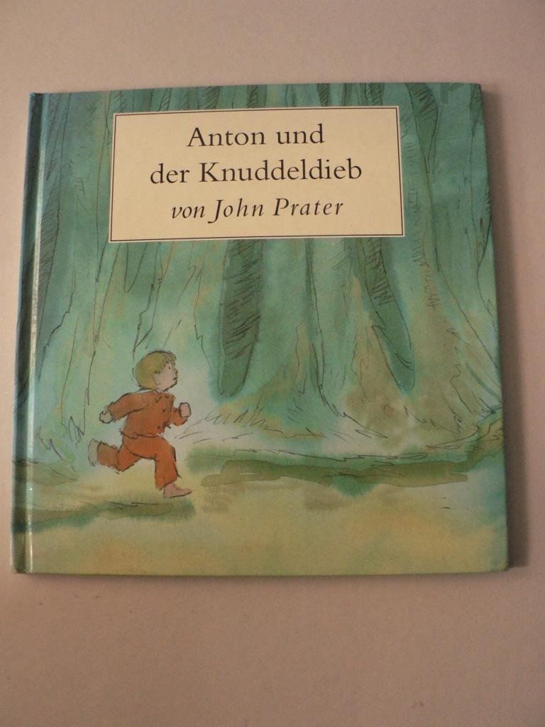 Anton und der Knuddeldieb (Hardcover)