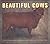 Beautiful Cows by Val Porter (2010-11-09)