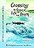 Crossing the Ocean of Life and Death by Sheng-yen Lu