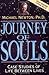 Journey of Souls
