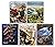Harry Potter Illustrated Edition Books 1-5