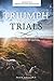 Triumph Through Trials: The Epistle of James by David R. Anderson (2013-06-28)