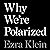 Why We're Polarized