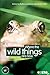 Where the Wild Things Are Now by Mullin, Molly, Cassidy, Rebecca. (Berg Publishers,2007) [Paperback]