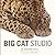Big Cat Studio by Dr Bhagavanle Antle (2009-11-01)