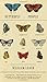 Butterfly People: An American Encounter with the Beauty of the World by William R. Leach (2014-01-28)