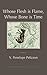 Whose Flesh is Flame, Whose Bone is Time by V. Penelope Pelizzon (April 3, 2014) Paperback