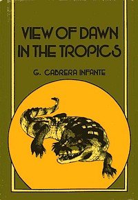 View of Dawn in the Tropics