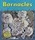 Barnacles (Heinemann Read & Learn)