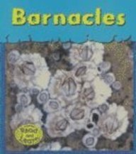 Barnacles (Heinemann Read & Learn)