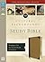 NIV, Cultural Backgrounds Study Bible, Imitation Leather, Tan, Red Letter Edition: Bringing to Life the Ancient World of Scripture (2016-08-23)