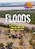 Floods: The Science Behind Raging Waters and Mudslides (The Science Behind Natural Disasters) by Silverstein, Alvin, Silverstein, Virginia B., Nunn, Laura Si (2009) Library Binding