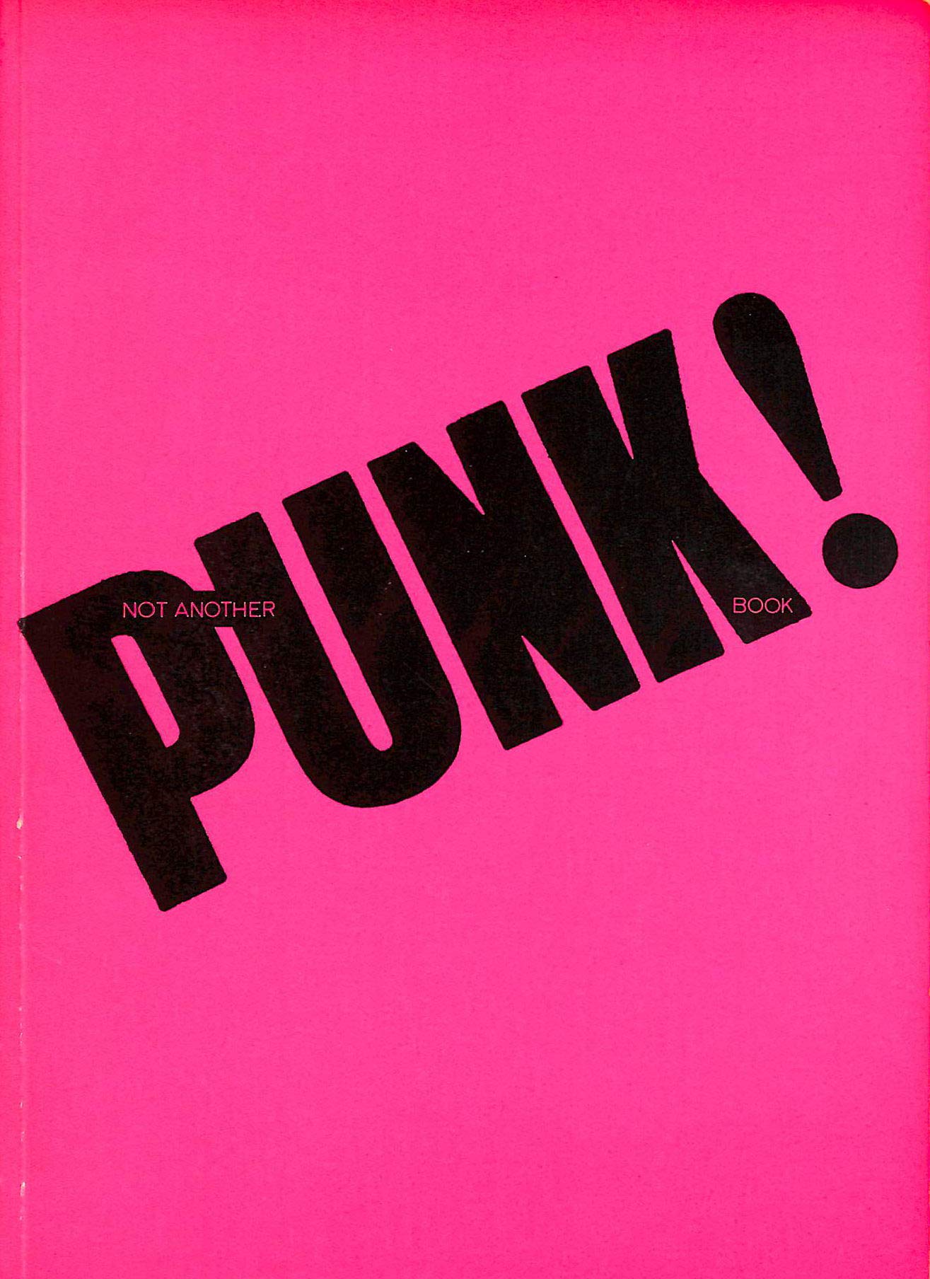 Not Another Punk Book! Paperback (Paperback)