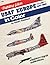 USAF Europe in Color, Volume 2: 1947-1963 - Fighting Colors series (6563) by Robert Robinson (1990-08-03)