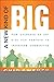 [New Kind of Big, A: How Churches of Any Size Can Partner to Transform Communities] [Author: Sweney, Chip] [January, 2011]