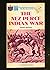 The Nez Perce Indian War by Theodore Mathieson
