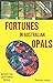 Fortunes In Australian Opals - Based On Lightning Ridge by Stephen Aracic