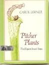 Pitcher Plants: The Elegant Insect Traps