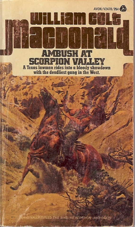 Ambush at Scorpion Valley (Paperback)