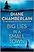 Big Lies in a Small Town by Diane Chamberlain