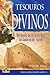 Tesouros Divinos