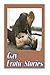 Gay Erotic Stories by Torri...