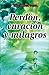 Perdon, curacion y milagros...