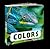 Colors