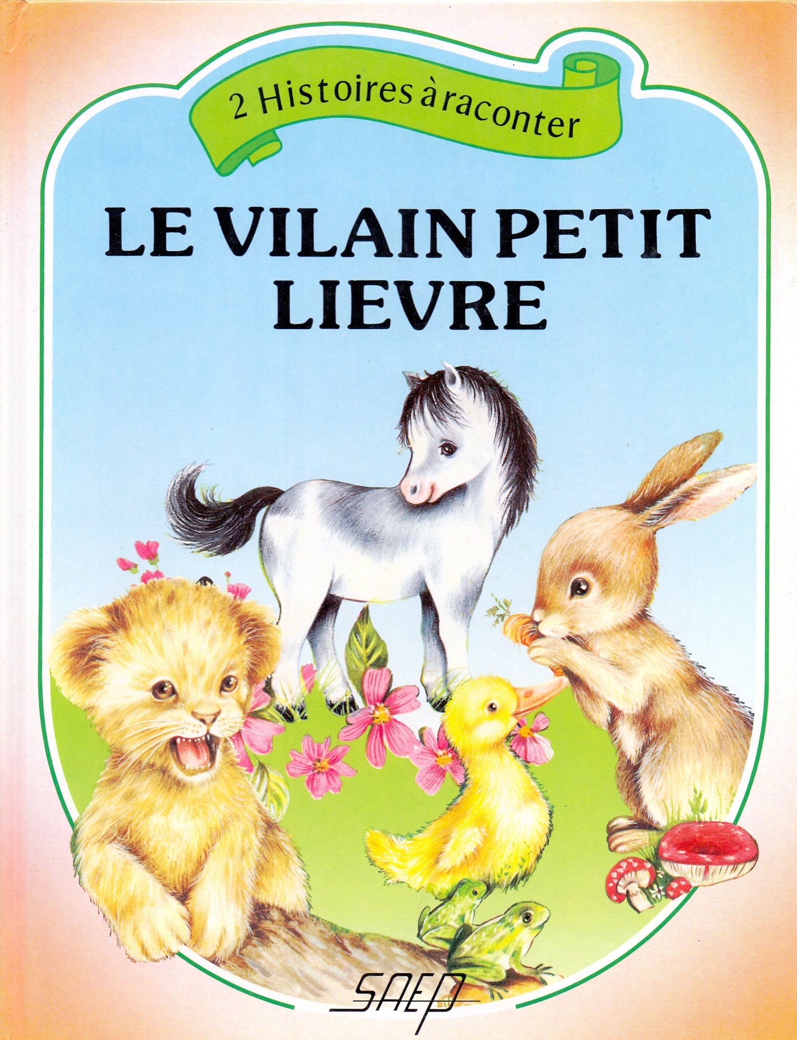 le vilain petit lievre (Paperback)