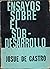Ensayo Sobre El Sub Desarro...