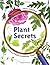 Plant Secrets by Emily Goodman (2009-02-01)