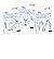 [(Numicon: Number, Pattern and Calculating 2 Explorer Progress Books ABC (Mixed pack): 2 )] [Author: Ruth Atkinson] [May-2014]