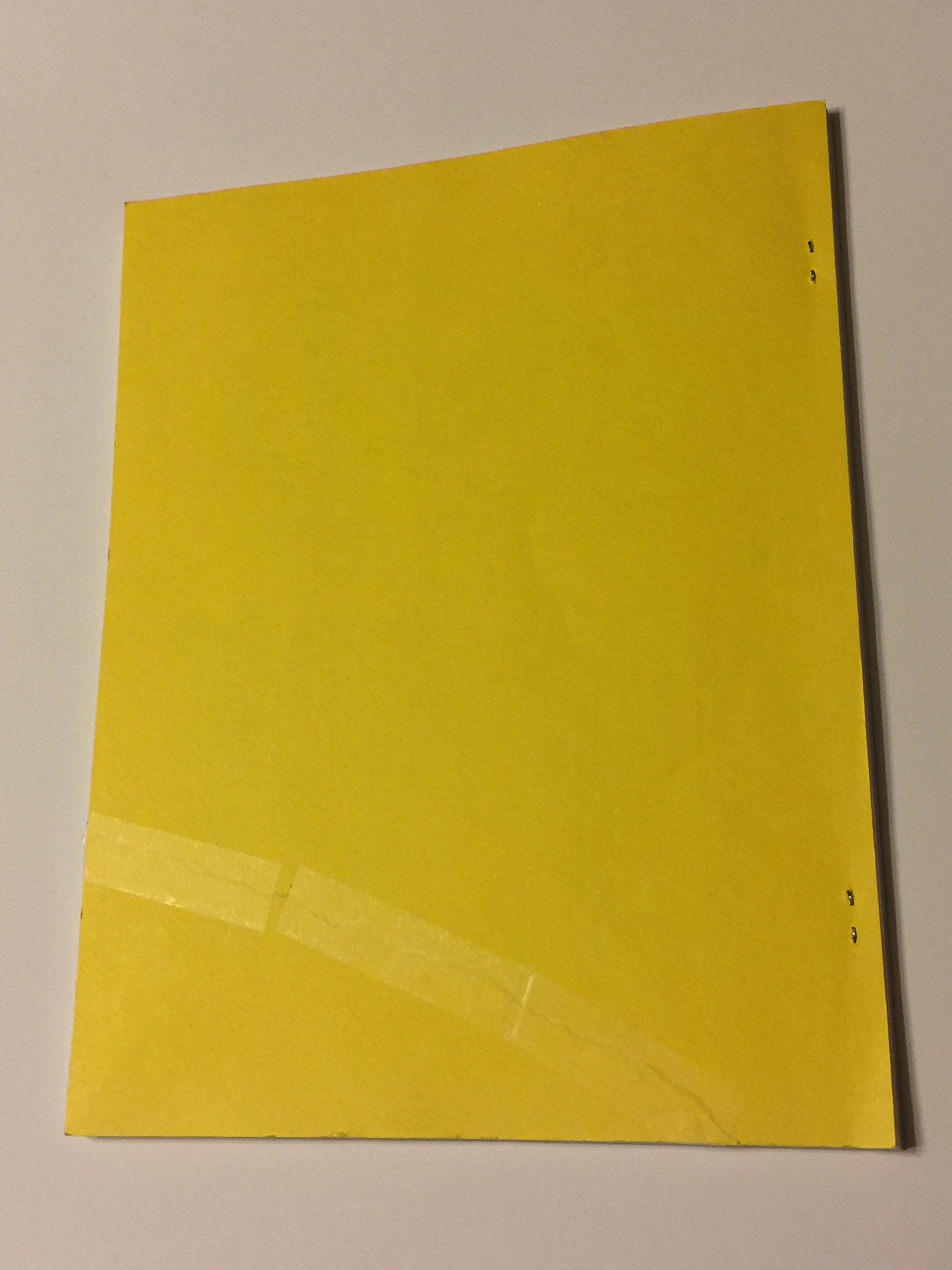 The L.E. Eeman Report. The Pioneering Years of Biocircuitry. (Paperback)