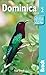Dominica (Bradt Travel Guid...