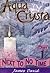 Next to No Time: P. 1 (Aqua Crysta) by James David (2004-05-22)