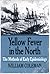 Yellow Fever in the North: The Methods of Epidemiology (Wisconsin Publications in the History of Science and Medicine)