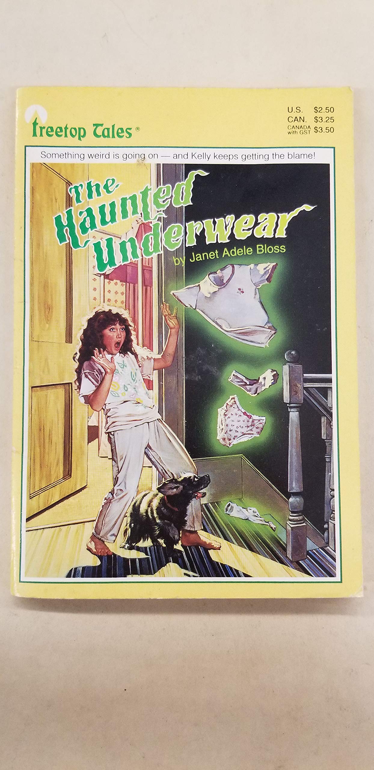 The Haunted Underwear (Paperback)