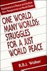 One World Many Worlds
