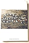Systematics and natural history of the American milk snake, Lampropeltis triangulum
