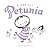 A Pet for Petunia by Paul Schmid (2011-01-25)