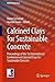 Calcined Clays for Sustainable Concrete: Proceedings of the 1st International Conference on Calcined Clays for Sustainable Concrete (RILEM Bookseries) (2015-05-31)