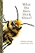 What Do Bees Think About?