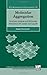 Molecular Aggregation: Structure Analysis and Molecular Simulation of Crystals and Liquids Iucr Monographs on Crystallography (International Union of Crystallography Monographs on Crystallography) by Angelo Gavezzotti (2006-11-30)