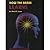 How the Brain Learns: A Classroom Teacher's Guide